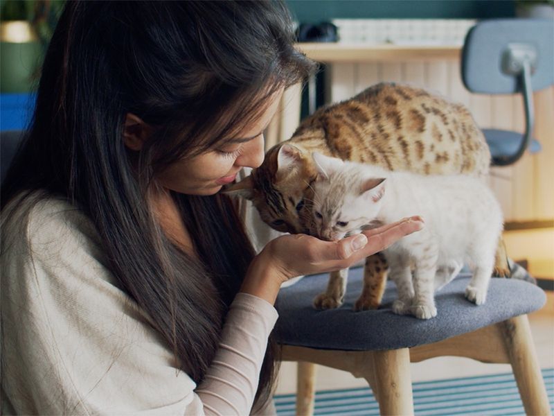 Licking Everything