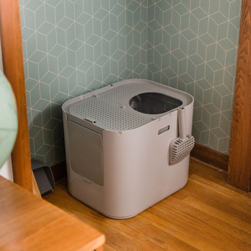 Litter Box Situations That Defy Description