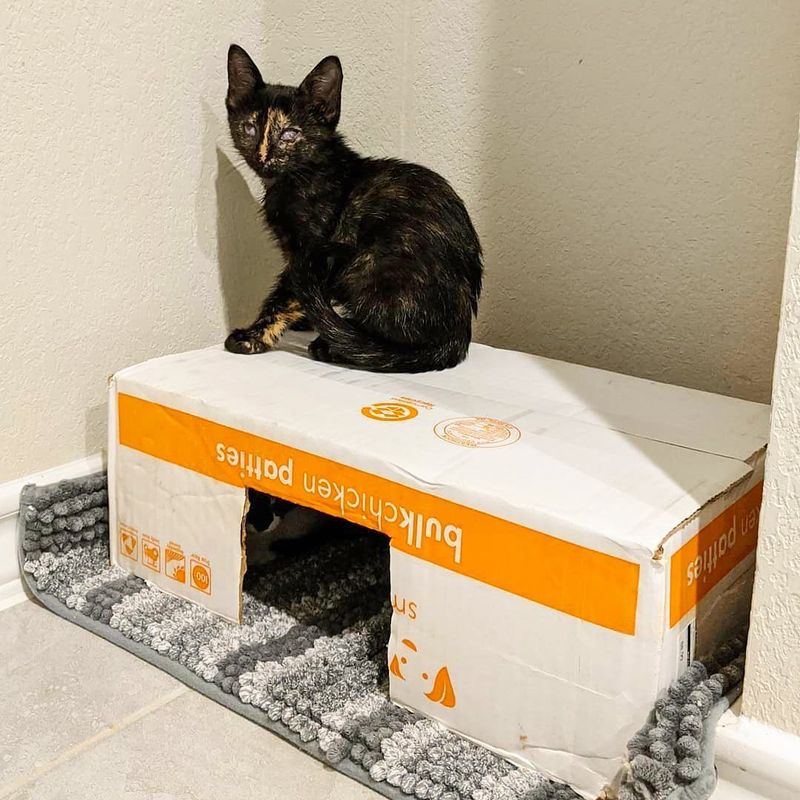 Love: Cardboard Hideaways