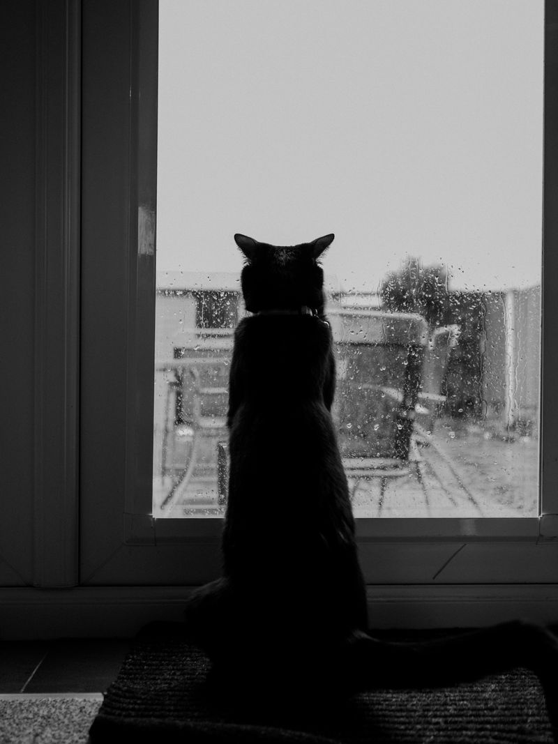 Love: Gentle Rain Sounds