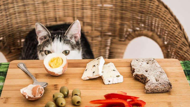 Lower Food Costs