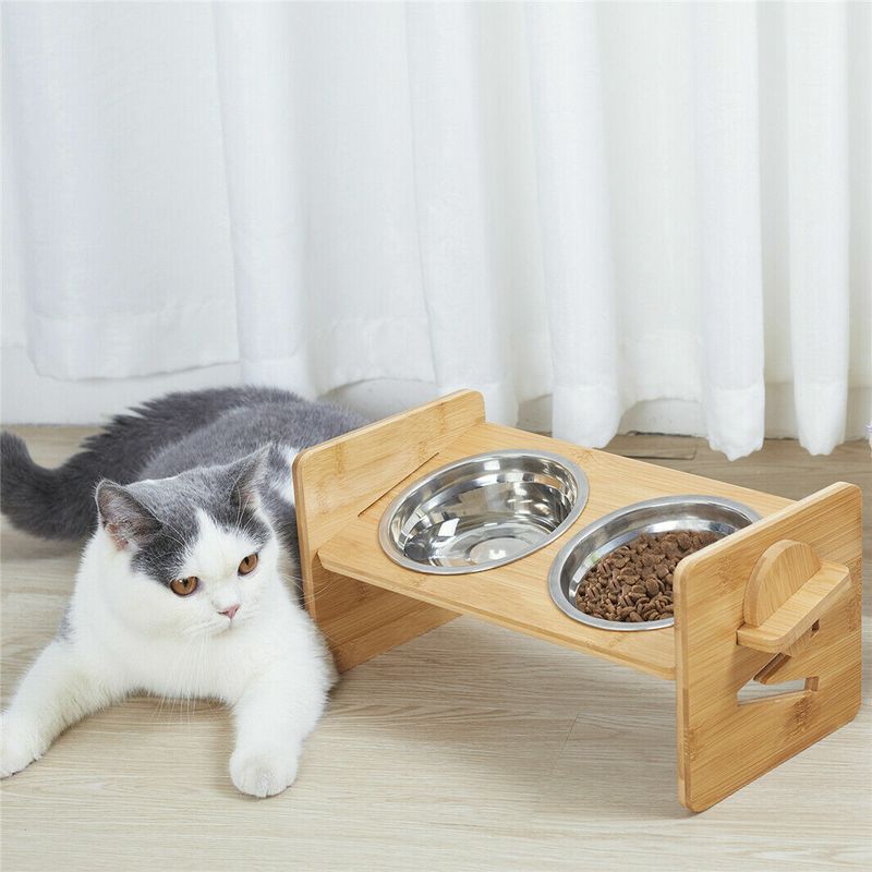 Maintain Separate Feeding Stations