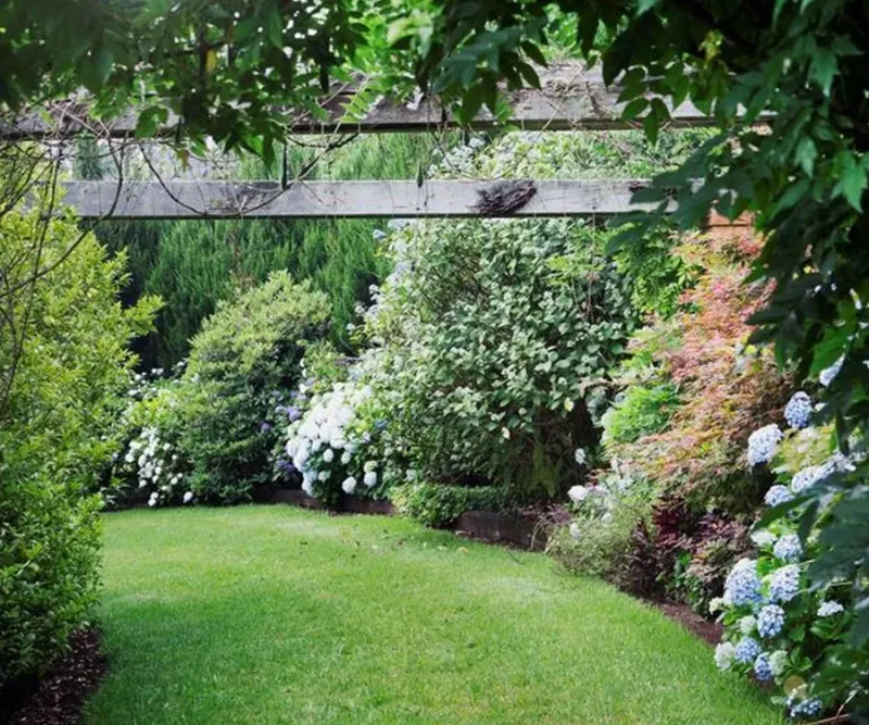 Maintain a Tidy Yard