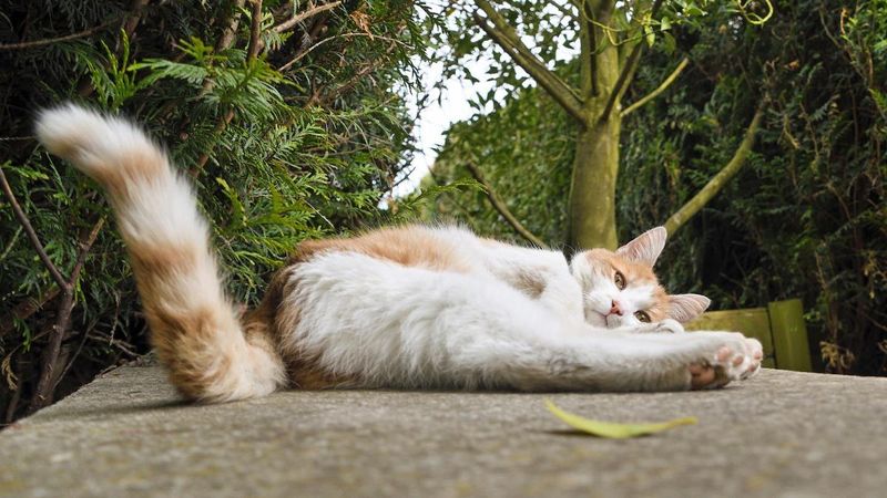 Maintaining a Relaxed Tail Position Around You
