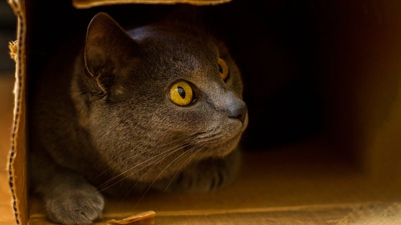 Major Life Changes Loom on the Horizon