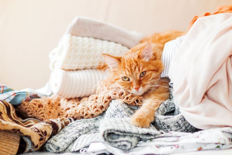 Make a Snuggle Nest