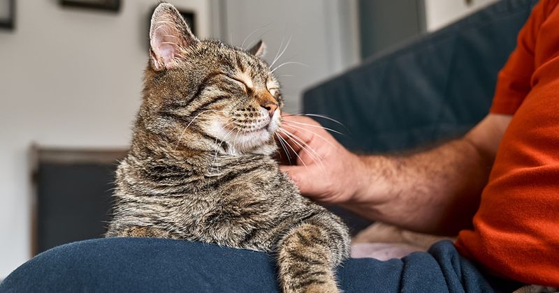 Master the Art of Gentle Handling