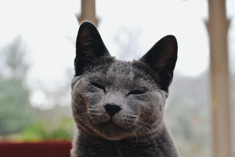 Mona Lisa Smile