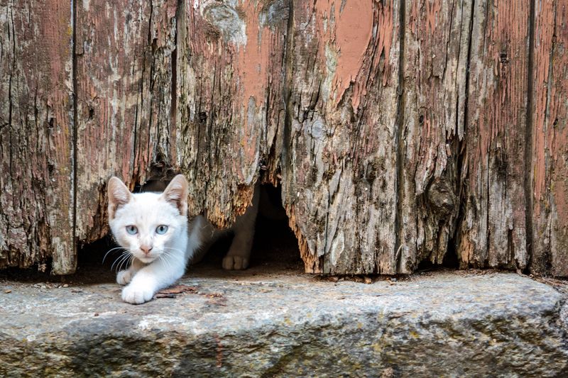 More Prone to Escape Through Tiny Openings
