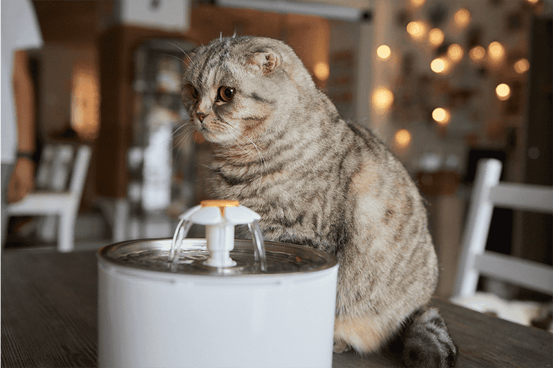 Multiple Water Stations