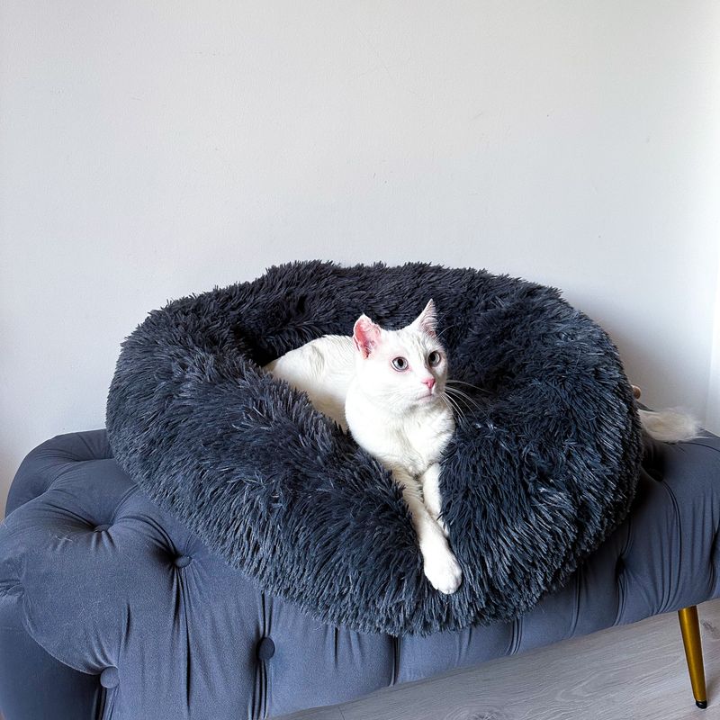 Nesting or Burrowing