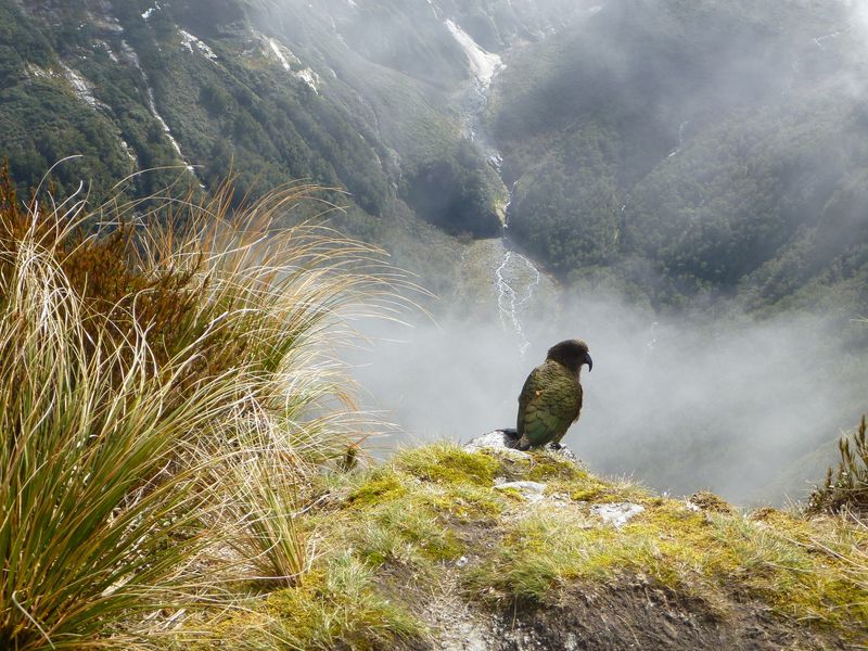 New Zealand