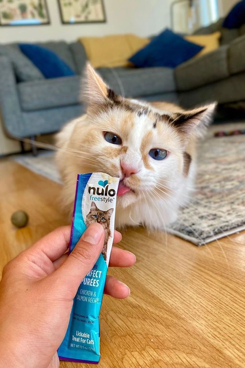 Offer Distracting Treats and Toys