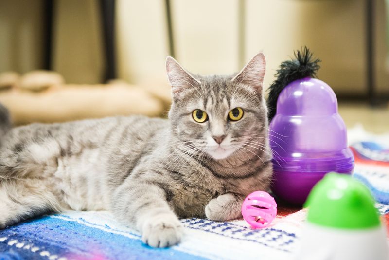 Offer Enrichment Activities