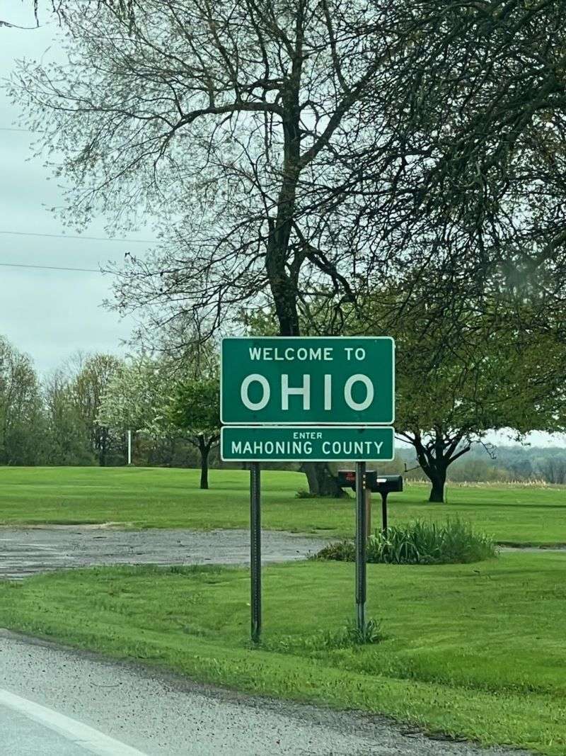 Ohio's Overwhelming Cat Crisis