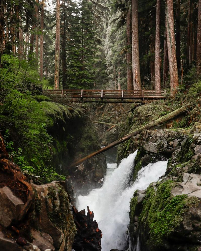 Olympic National Park, Washington
