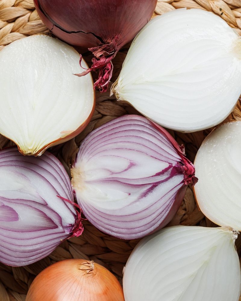 Onion