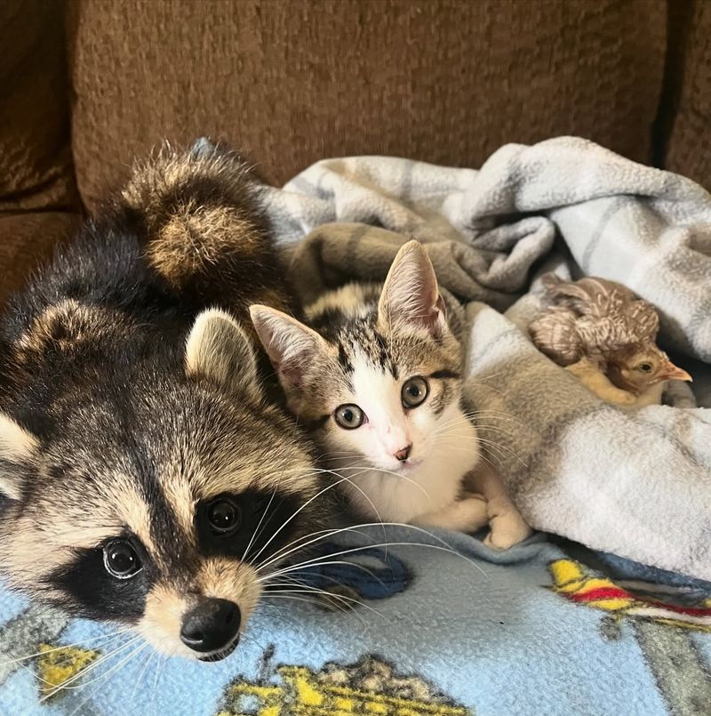 Opposing Hygiene Habits