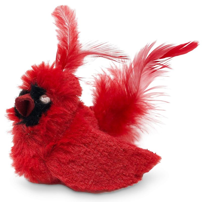 OurPets Play-N-Squeak Real Birds Cat Toy
