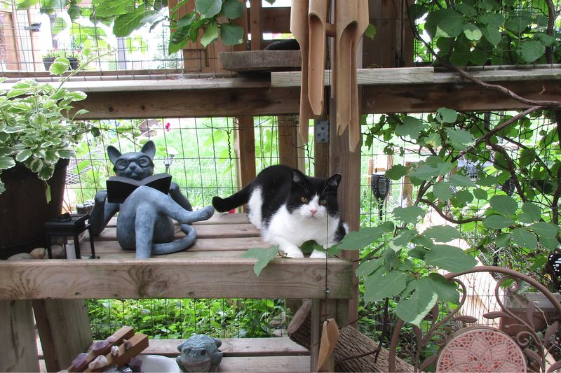 Outdoor Enrichment Stations