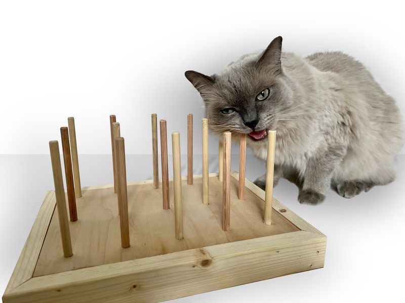 Pare Down Cat Supplies