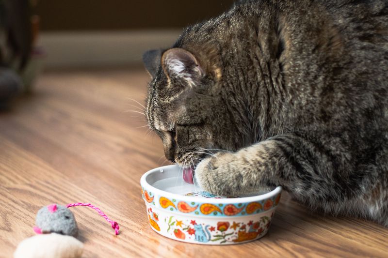 Pawing at Water