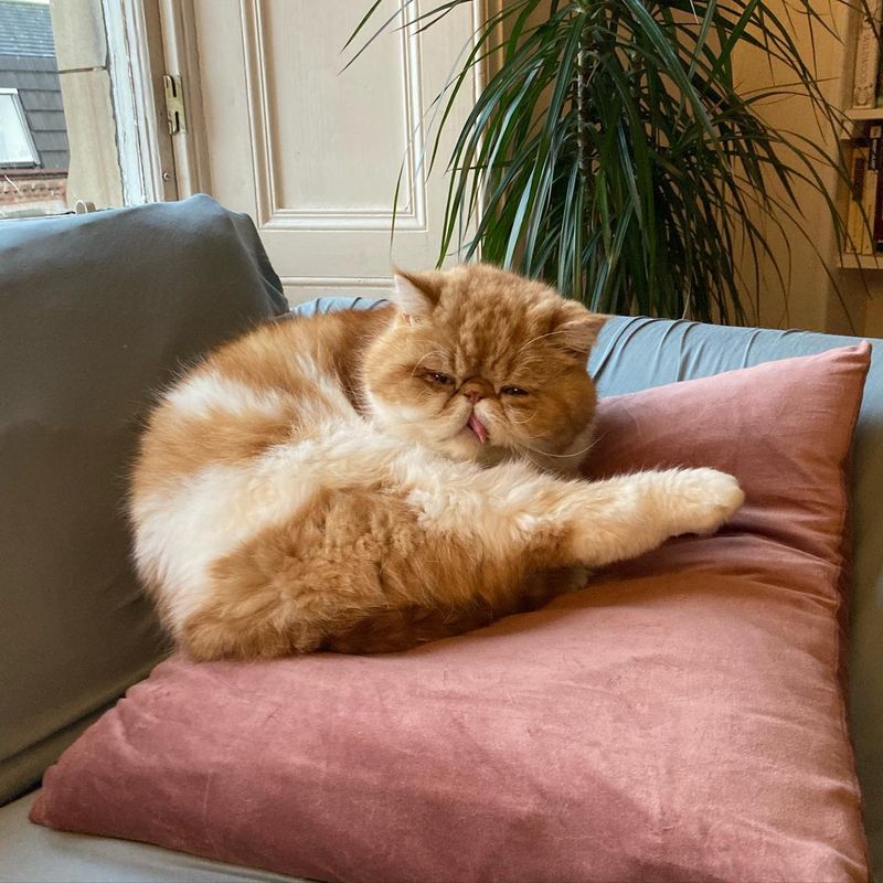 Persian
