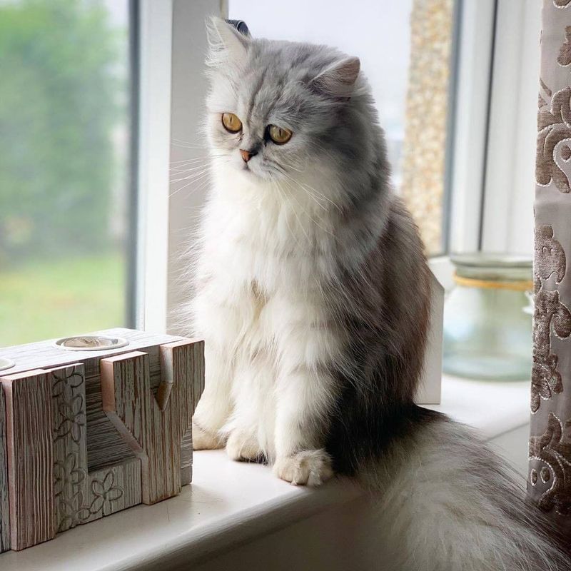 Persian