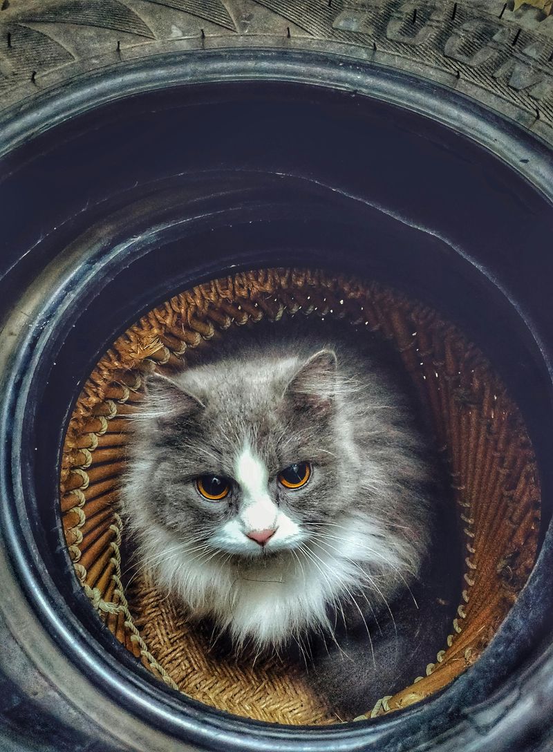 Persian