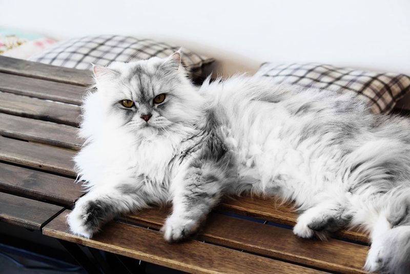Persian