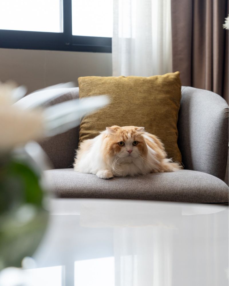 Persian