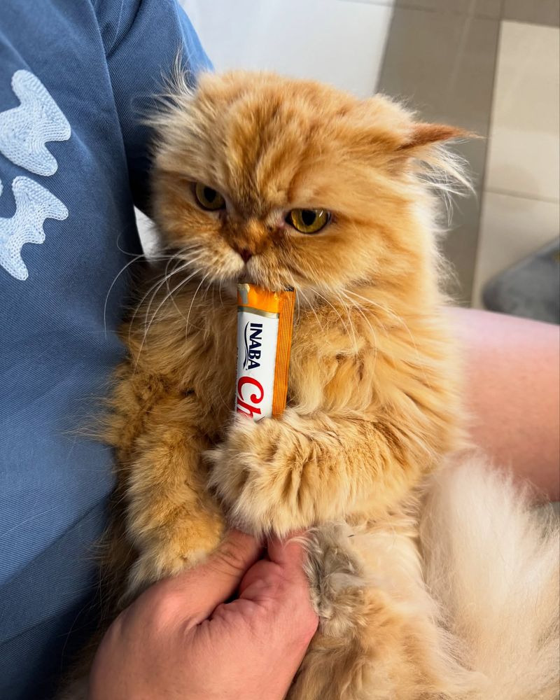 Persian