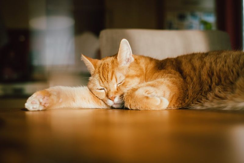 Persistent Lethargy or Unresponsiveness