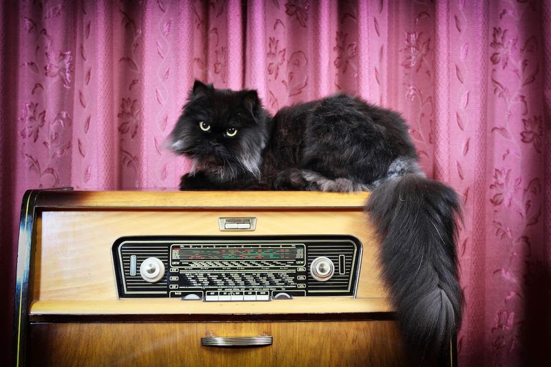 Play Soothing Music or Nature Sounds