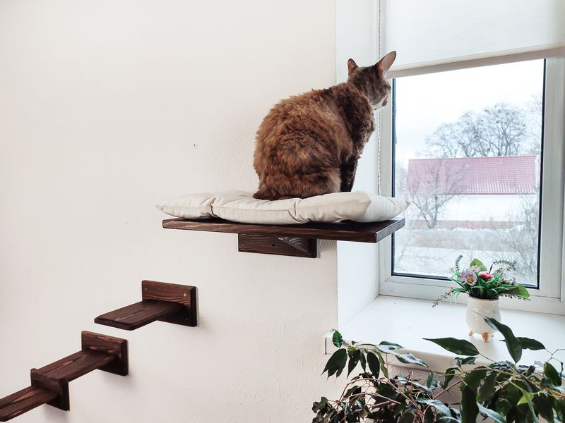 Playing Only Indoors Without Environmental Enrichment