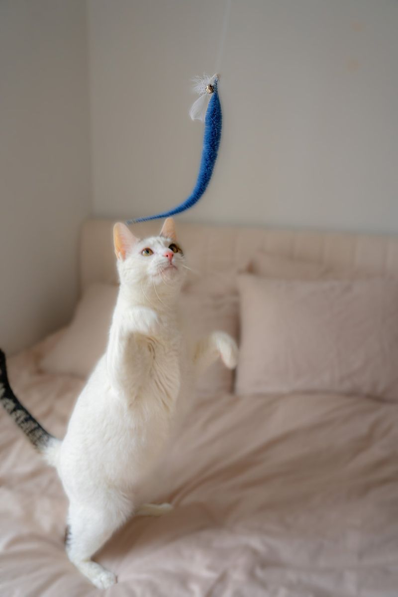 Playtime with Wand Toys