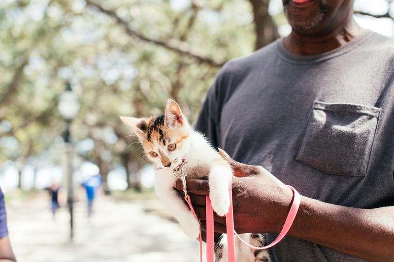 Positive Reinforcement Training Builds Self-Esteem