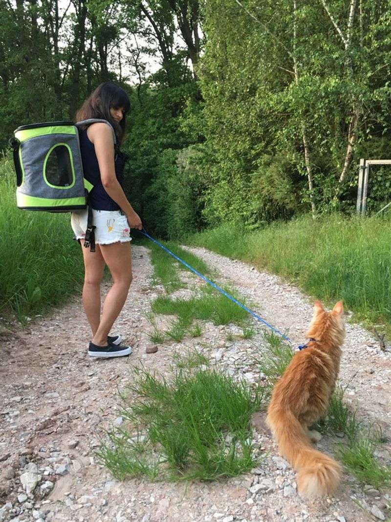 Practice Short Trips First