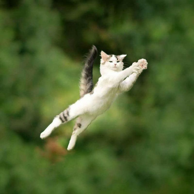 Precise Jumping and Spatial Awareness