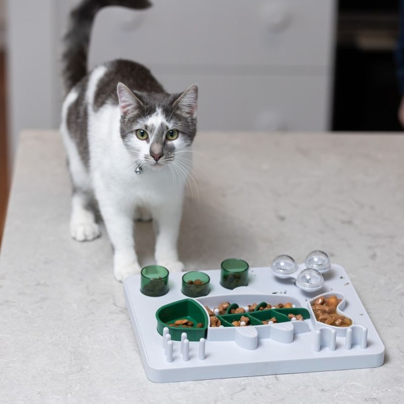 Provide Enrichment Through Foraging