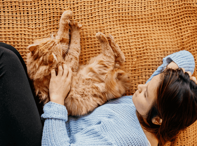 Provide Extra Affection and Attention