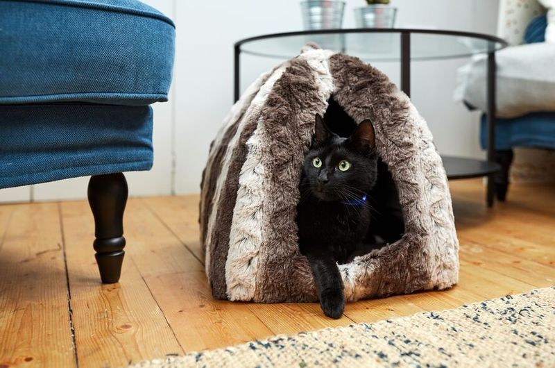 Provide Hiding Spots