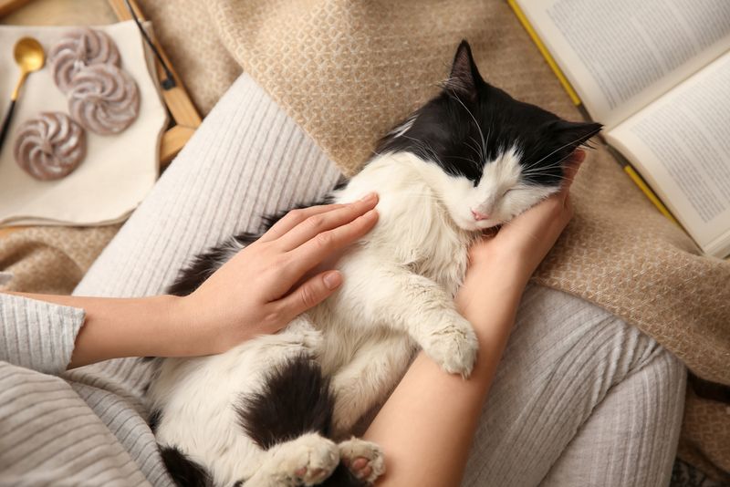 Purring When They’re Near You