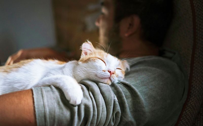 Purring While Curled Up With You