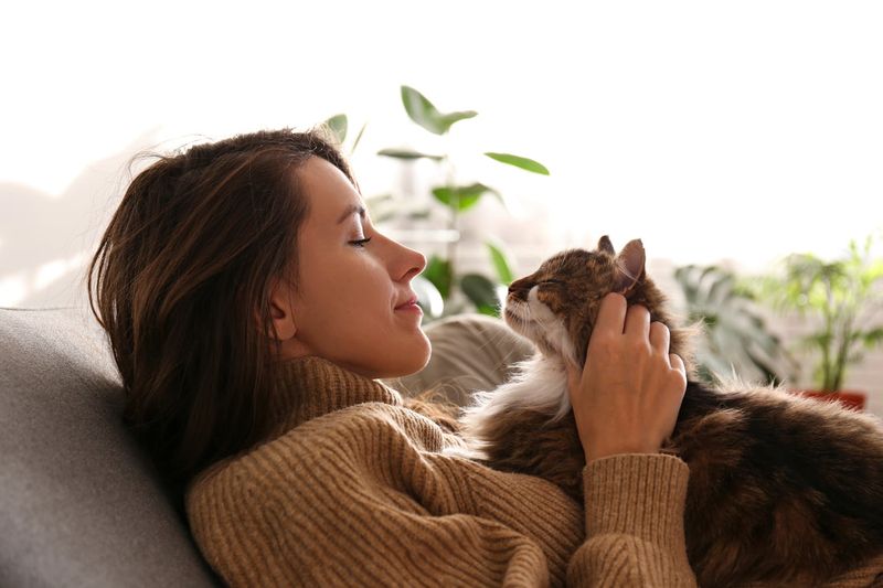 Purring as a Natural Soother