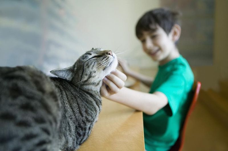 Purring in Your Presence