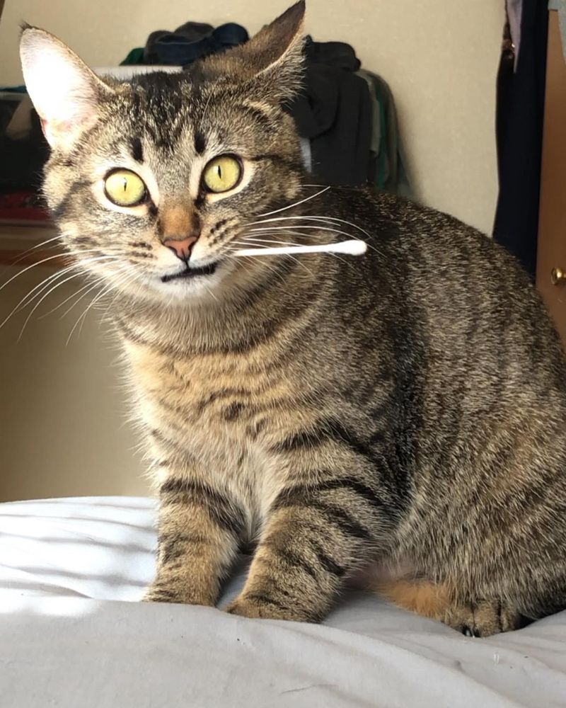 Q-tips