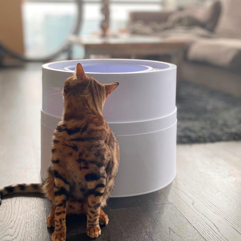 Quiet, Covered Litter Box with Odor Control