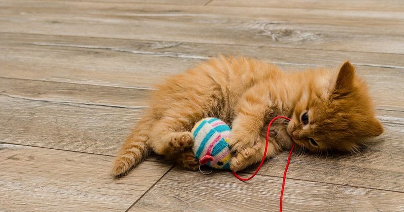 Quiet Play With Gentle Toys