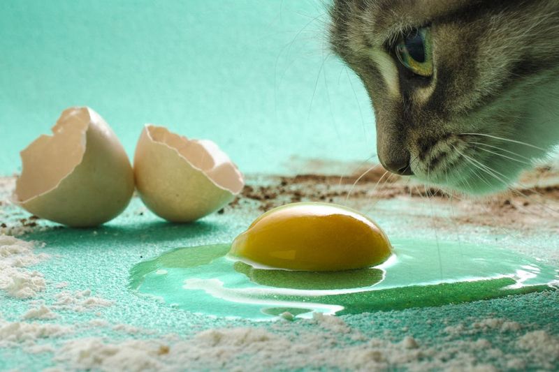 Raw Eggs